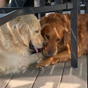 Meet your Posher, Jeannine